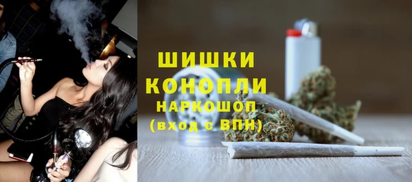 стафф Каменногорск