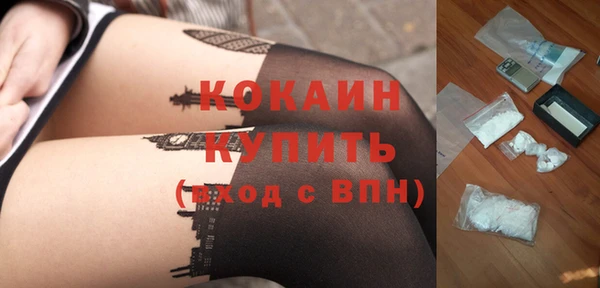 стафф Каменногорск