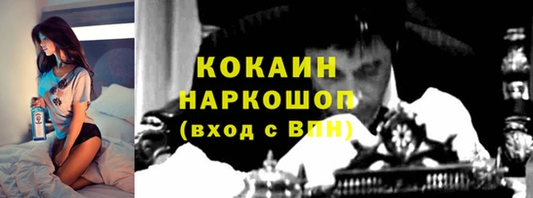 стафф Каменногорск