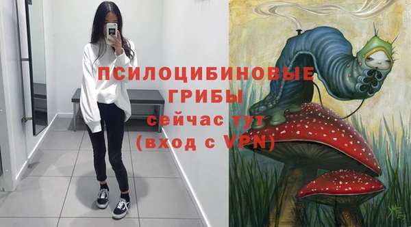 круглые Каменка