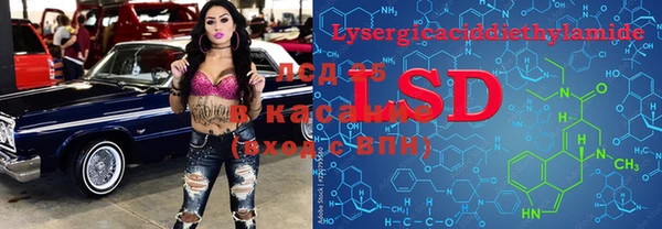 стафф Каменногорск