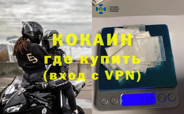 стафф Каменногорск