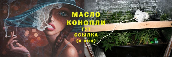 стафф Каменногорск