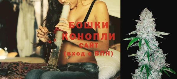 стафф Каменногорск