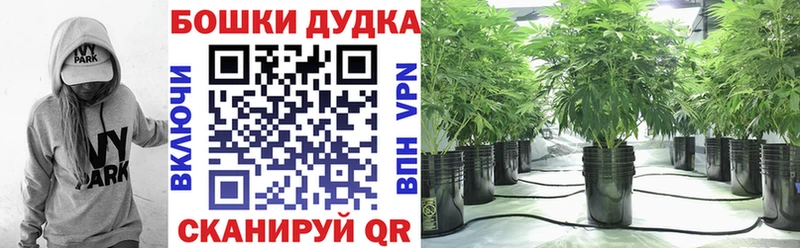 МАРИХУАНА Bruce Banner  Купить где  Бугуруслан 